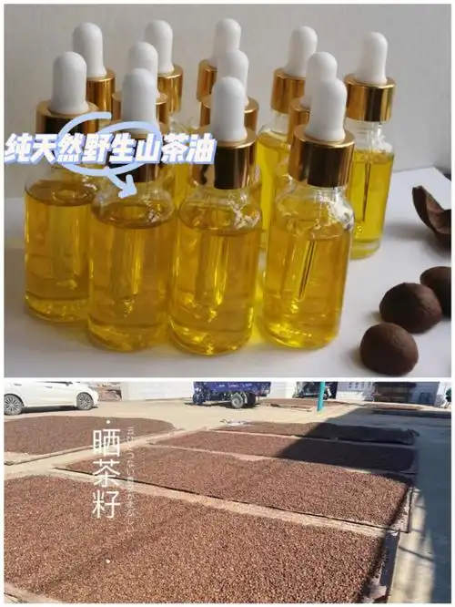 92山茶油有哪些主要护肤用途71