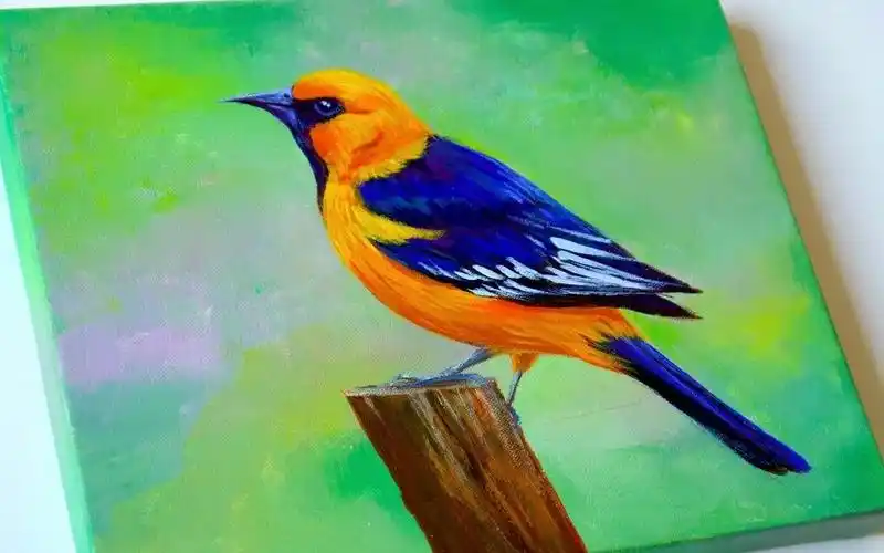 【丙烯画】小鸟