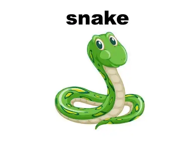 snake 第55页 (共69页,当前第55页)