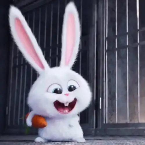 兔子头像:生活很讨厌,还好你够可爱,小兔子好可爱哦.