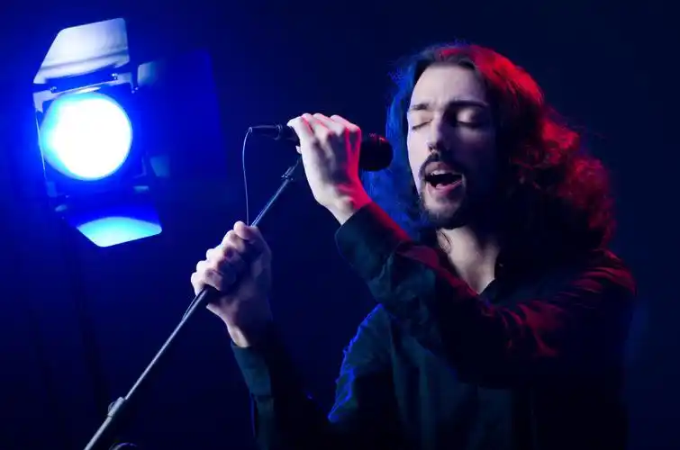 人在音乐会上唱歌热情的情侣在夜总会表演燃烧舞幸福情侣幸福的人老