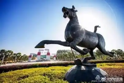 【中国有多少个城市有马踏飞燕的标志?