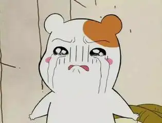 哭泣卡通红脸蛋泪流满面伤心gif动图_动态图_表情包下载_soogif