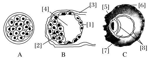解析(1)图中a是桑椹胚,b是囊胚,c是原肠胚.