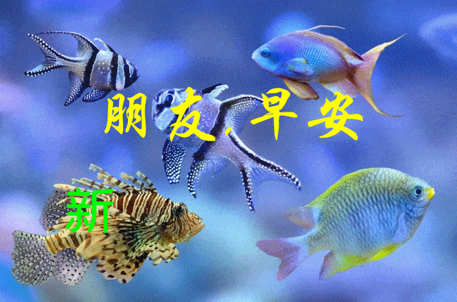 2021早上好动态表情图片大全早上好问候语句子