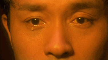 今年是 (1956年9月12日-2003年4月1日)……|张国荣|陈淑芬|追忆_新浪