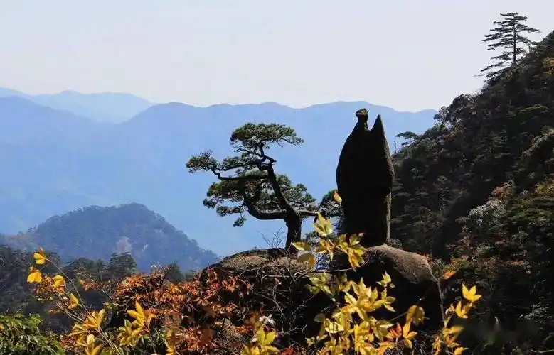 重温小学课文黄山奇石仙人指路