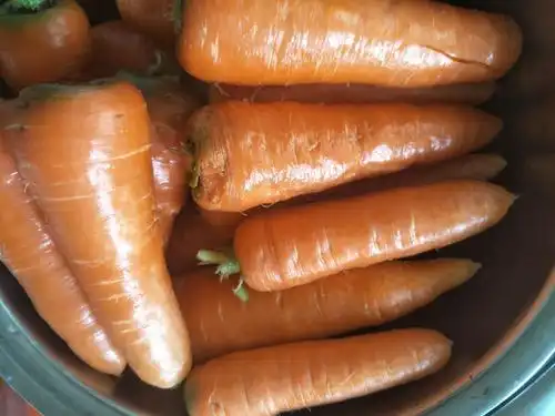 大风车幼儿园小二班食育课《粉蒸胡萝卜丝》