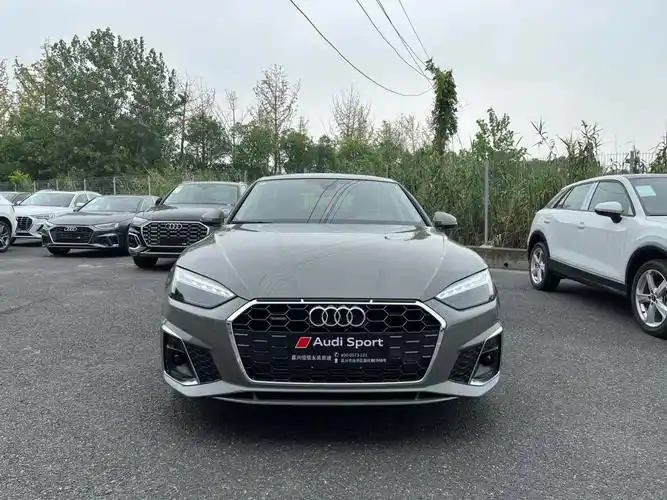 可以问天云灰#奥迪  #性