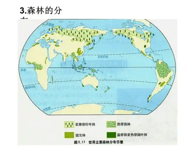 高中地理陕西同步课件荒漠化的防治以亚马孙热带雨林为例张新人教版