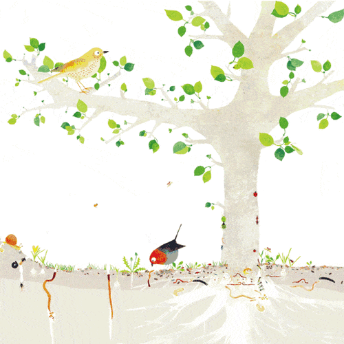 快来看_smx_苹果树_阳平镇