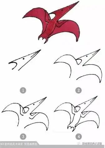 带有羽毛的恐龙的简笔画