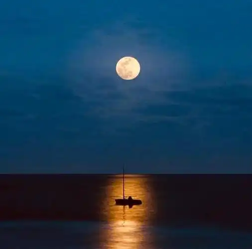 寒江孤影夜行舟,清风为伴月为友.