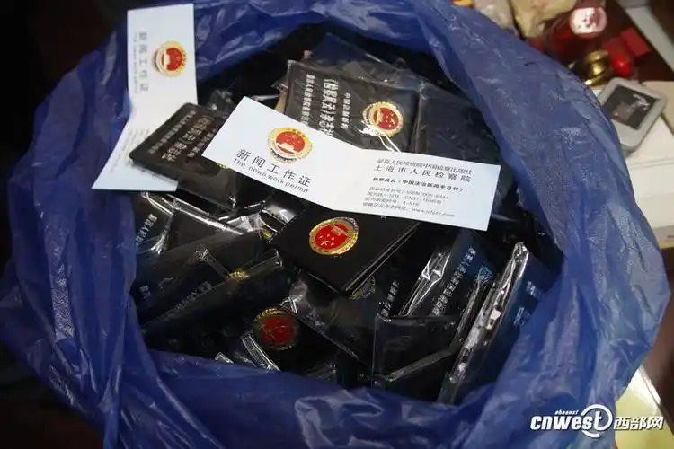 西安4名假记者进公安局"监督办案"被拘(组图)