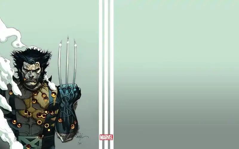 金刚狼壁纸2048x1536分辨率查看