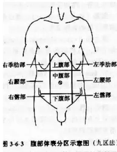 体检小知识---腹部九分区