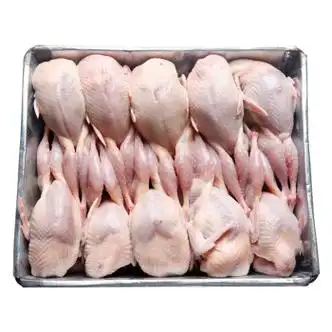 农家散养鹌鹑放血大鹌鹑新鲜现杀鹌鹑肉鹌鹑蛋乳鸽整箱腾旺纳跃农家散