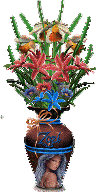 208_416gif 动态图 动图