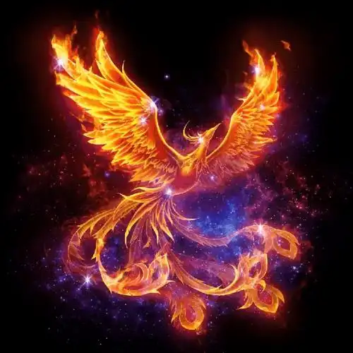 作为大哥,我愿意极尽所能配合你的演出——神圣衣凤凰座