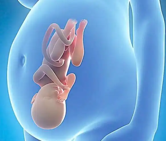 孕妈的这几个坏习惯正在让羊水变浑浊32周前弥补来得及