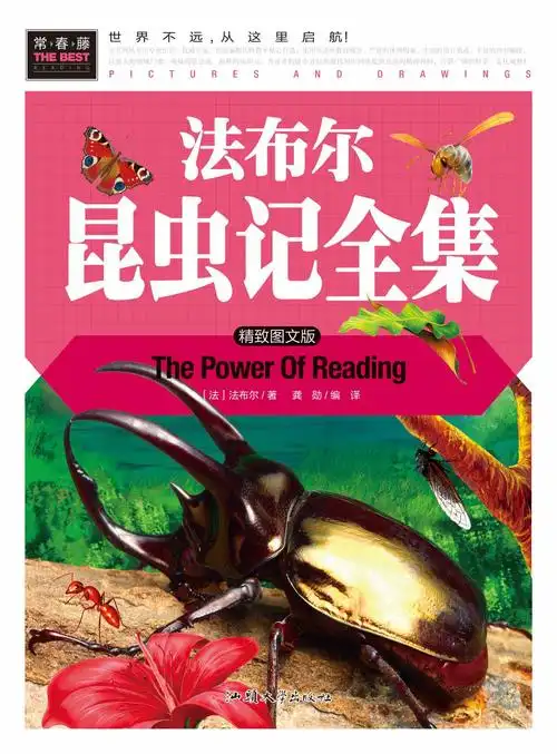 《法布尔昆虫记全集》常春藤