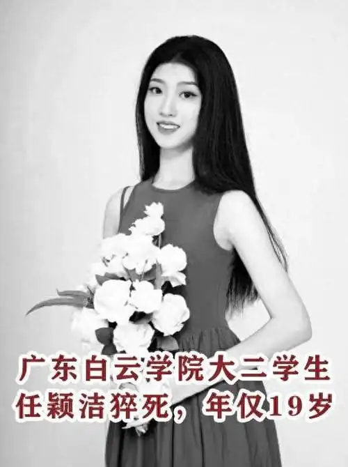 编辑  邋遢的皮卡丘亲爱的读者,请点亮您心中的明灯,点个关注,让它的