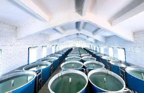 通威工厂化养鱼车间