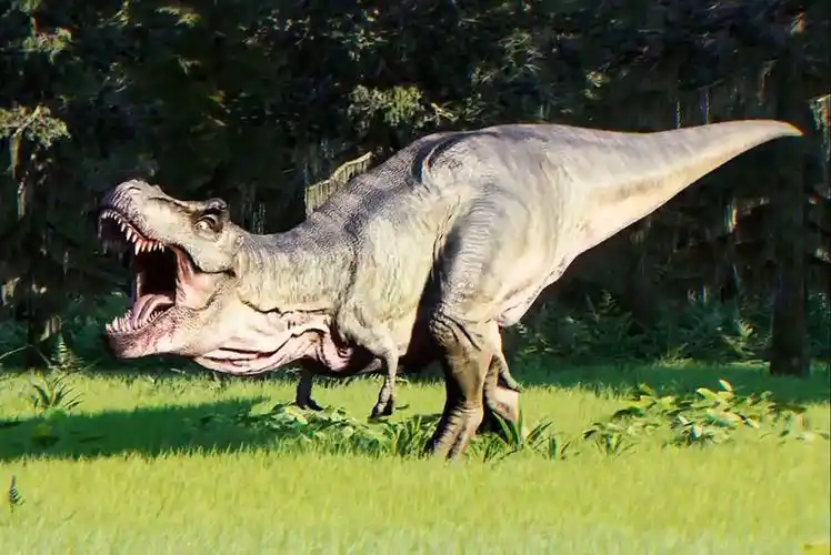 霸王龙捕食遇到棘龙挡路,大战后退走,却被惹怒强势出手