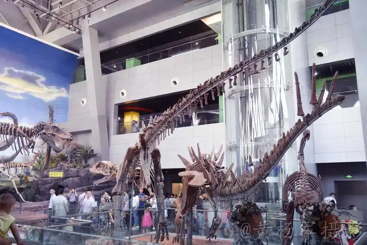 赣州自然博物馆恐龙嘉年华