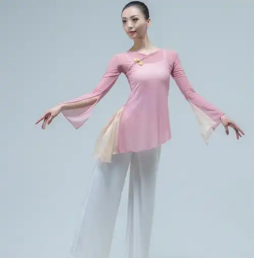 古典舞蹈服女飘逸演出服中国舞拼接艺考身韵纱衣现代舞服装