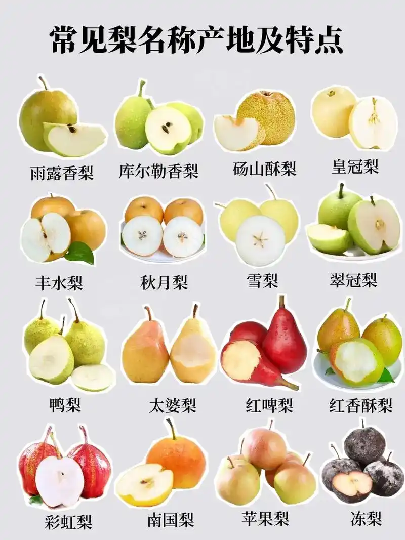 常见梨的区别和口感 一次性给你讲清楚.