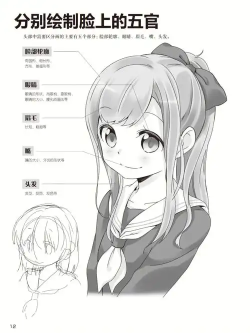 绘画教程这大概是最详细的头部画法了吧