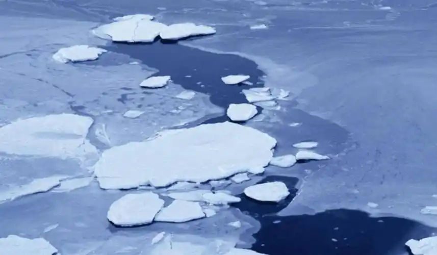 1983年山西儿童不慎落水15岁少女以命相救被救儿童竟走上不归路