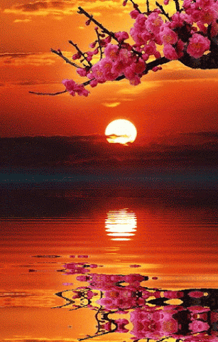 其它 【绝句·二首】 写美篇《笑面人生》 文:姜春荣 朝迎日出晚送霞