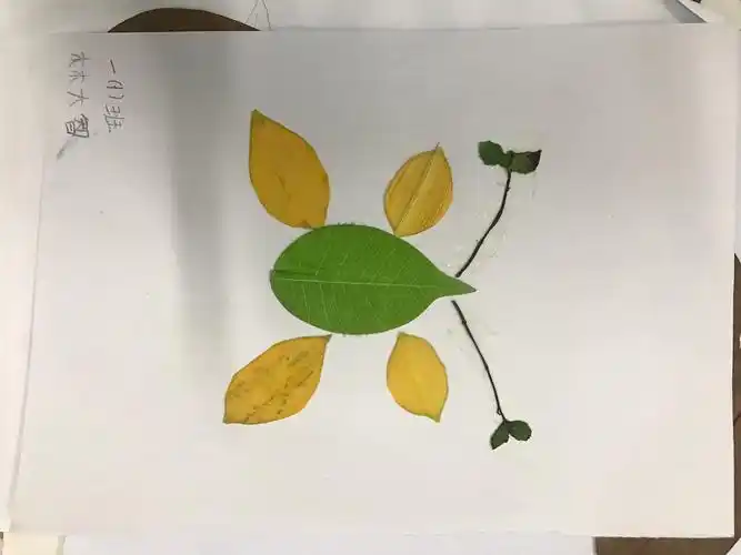 一年级孩子的树叶画