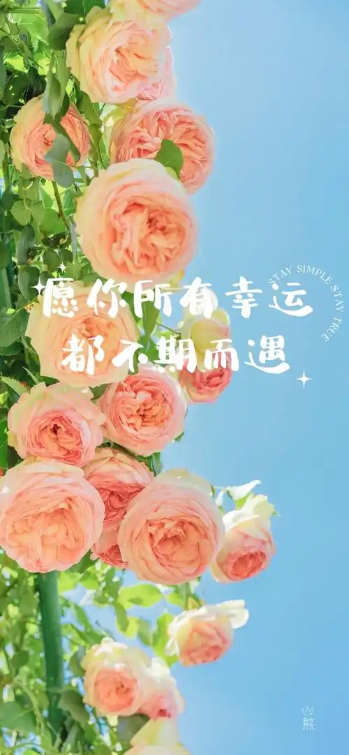 每日语录 唯美图片 愿你所有幸运 都不期而遇 愿时光能缓,愿故人不散