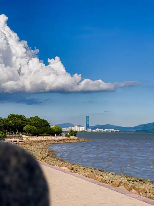 深圳海边深圳湾公园a区