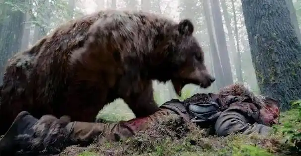 黑熊伤人事件引发关注,保护动物与人命权衡2020年5月17日,四川省江油