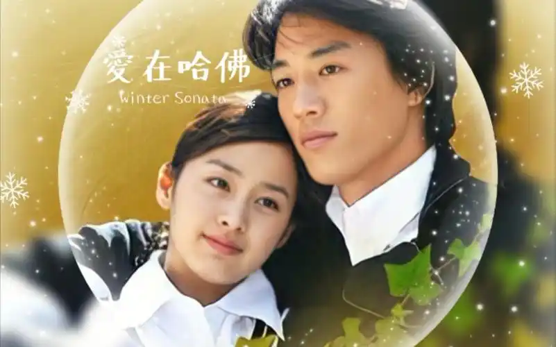 爱在哈佛金来沅金泰熙