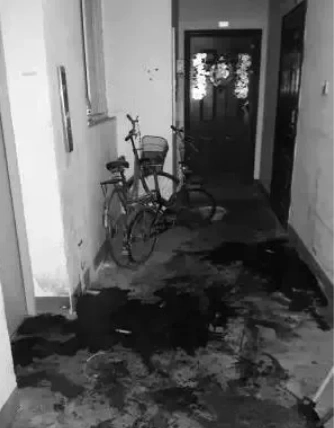 盘点南京10大著名凶宅,碎尸案别墅已被神秘人买走