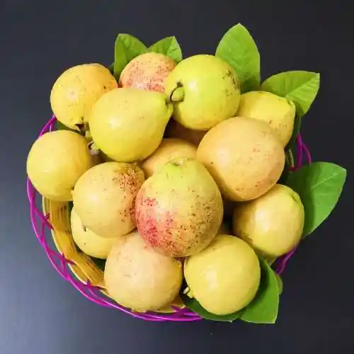 土新鲜小番石榴红心软农家四季5斤