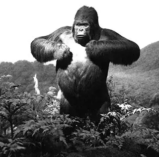 new discoveries(149863)-初三英语阅读(661)-21英语网