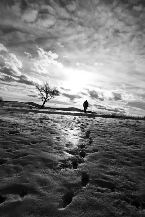 西方人,一个人,走,竖图,黑白,室外,白天,仰视,植物,欧洲,欧洲人,仅一