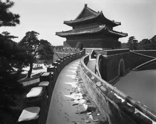 wq-025_王骞_百年印象摄影画廊_画廊黄页_雅昌艺术网