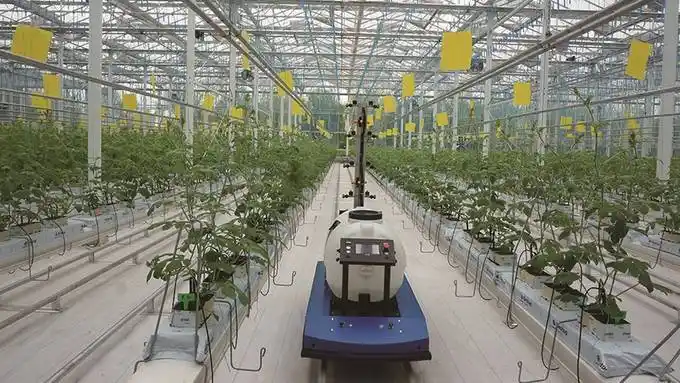 智能喷雾机器人在设施大棚中作业