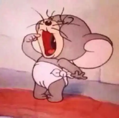 51猫和老鼠小泰菲