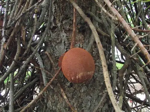 曲分庆典高潮已过,泰新马pp接着发,第5页开始有红灯区pp. - 第4页 -