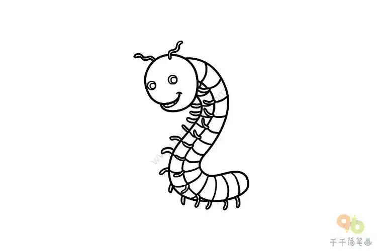 多足虫简笔画