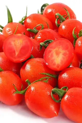 千禧圣女果 新鲜5斤现摘樱桃小番茄孕妇儿童千禧小番茄水果包邮