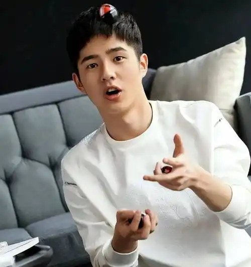 这样的行为让人觉得刘昊然在恋爱,或者追随周冬雨的喜好,或者寻求新奇